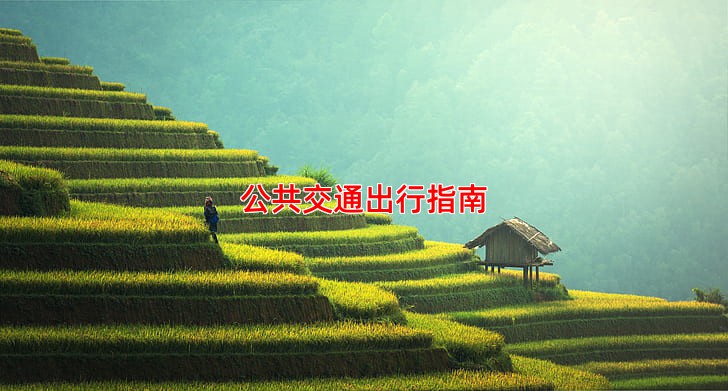 公共交通出行指南