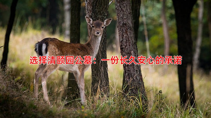 选择清颐园公墓：一份长久安心的承诺