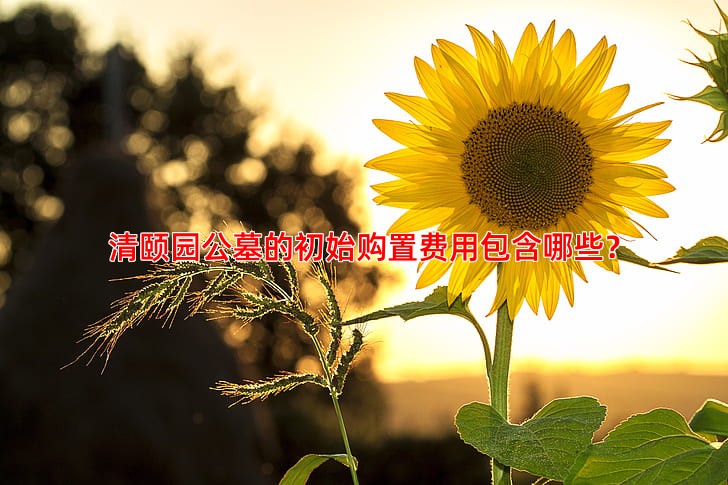 清颐园公墓的初始购置费用包含哪些？