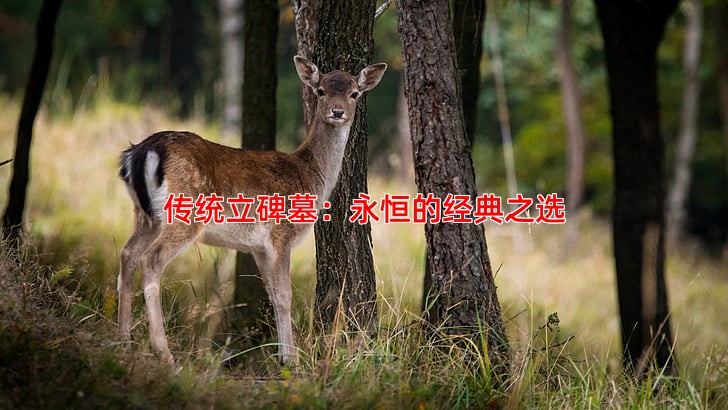 传统立碑墓：永恒的经典之选