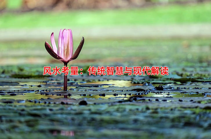 风水考量：传统智慧与现代解读