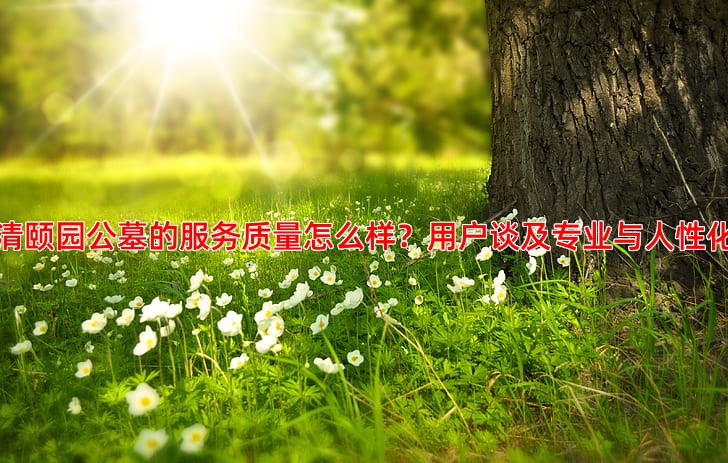 清颐园公墓的服务质量怎么样？用户谈及专业与人性化