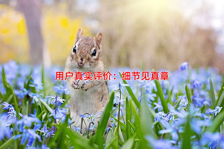 用户真实评价：细节见真章