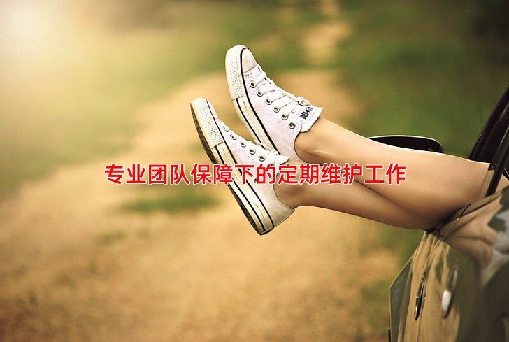 专业团队保障下的定期维护工作