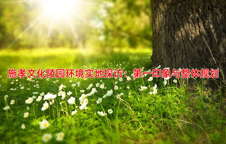 施孝文化陵园环境怎么样实地探访分享