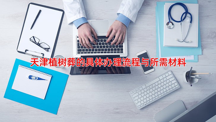 天津植树葬的具体办理流程与所需材料