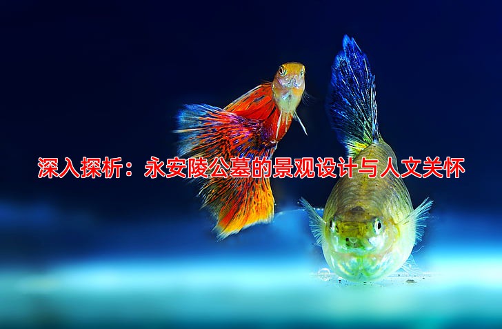 深入探析：永安陵公墓的景观设计与人文关怀