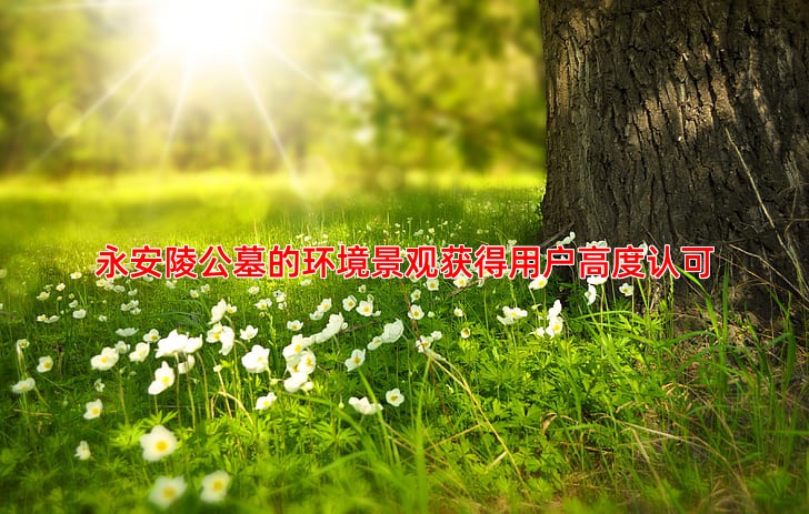 永安陵公墓的环境景观获得用户高度认可