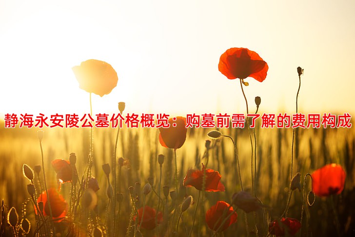 静海永安陵公墓价格概览：购墓前需了解的费用构成