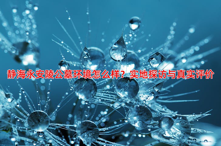静海永安陵公墓环境怎么样？实地探访与真实评价