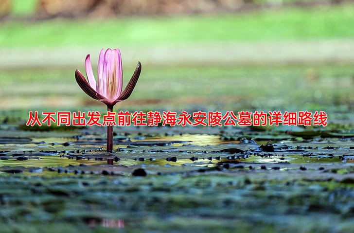 从不同出发点前往静海永安陵公墓的详细路线