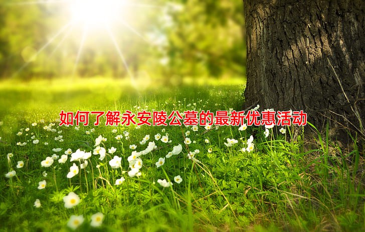 如何了解永安陵公墓的新优惠活动