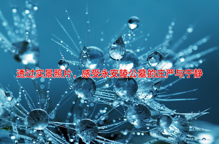 透过实景照片，感受永安陵公墓的庄严与宁静