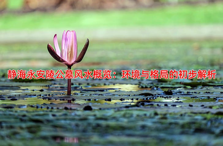 静海永安陵公墓风水概览：环境与格局的初步解析