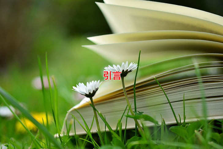 引言