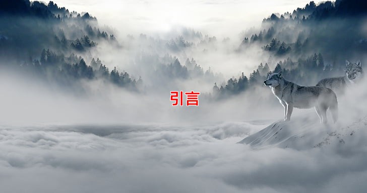 引言