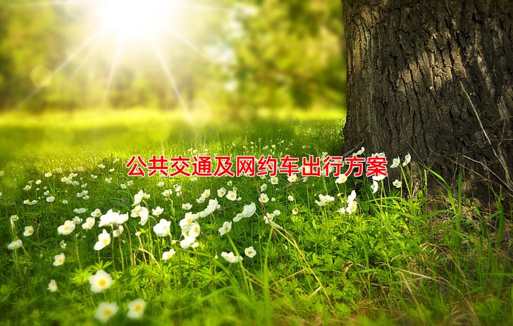公共交通及网约车出行方案
