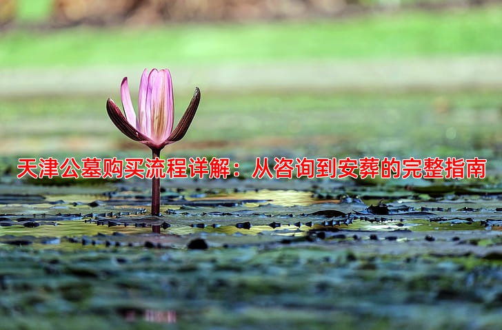 天津公墓购买流程是什么一步步教你操作