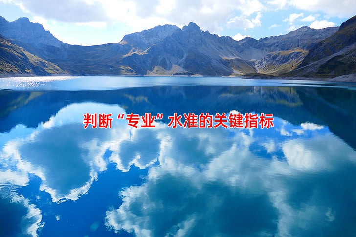 判断“专业”水准的关键指标