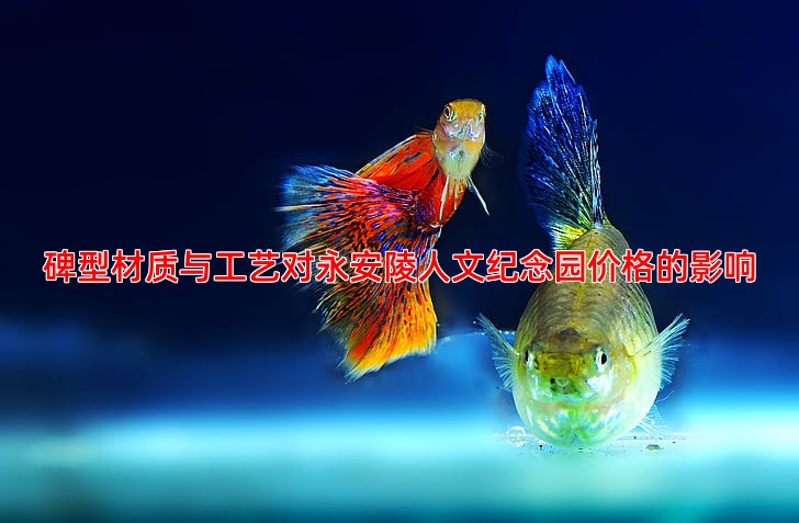 碑型材质与工艺对永安陵人文纪念园价格的影响