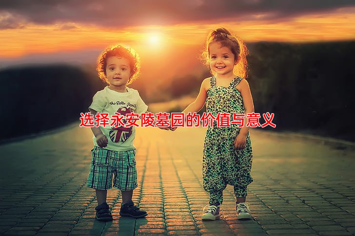 选择永安陵墓园的价值与意义