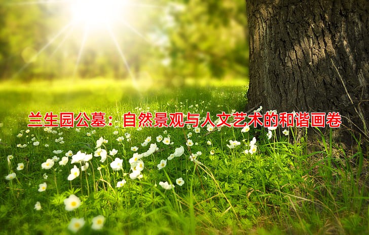 兰生园公墓环境图片赏析宁静祥和的安息之地