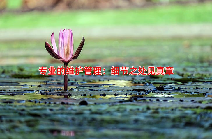 专业的维护管理：细节之处见真章