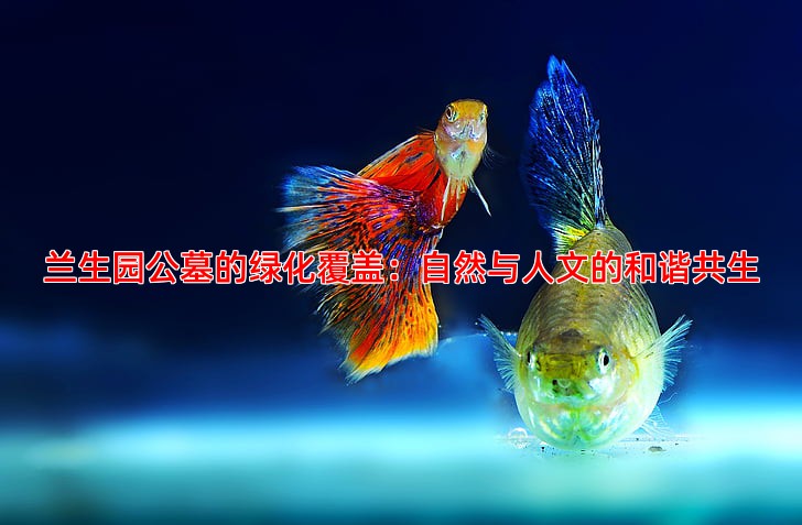 兰生园公墓的绿化覆盖：自然与人文的和谐共生