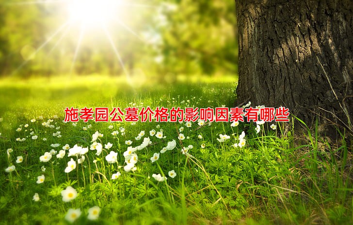 施孝园公墓价格的影响因素有哪些