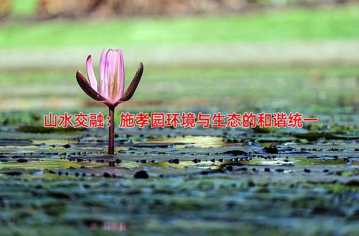 山水交融：施孝园环境与生态的和谐统一