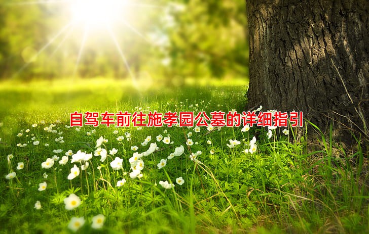 自驾车前往施孝园公墓的详细指引