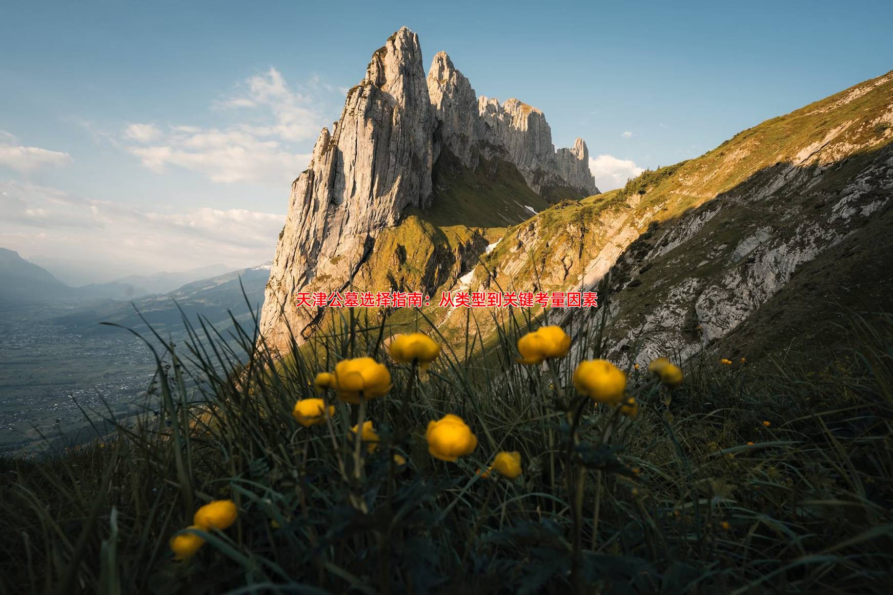 天津公墓选择指南：从类型到关键考量因素