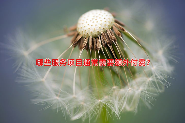 哪些服务项目通常需要额外付费？