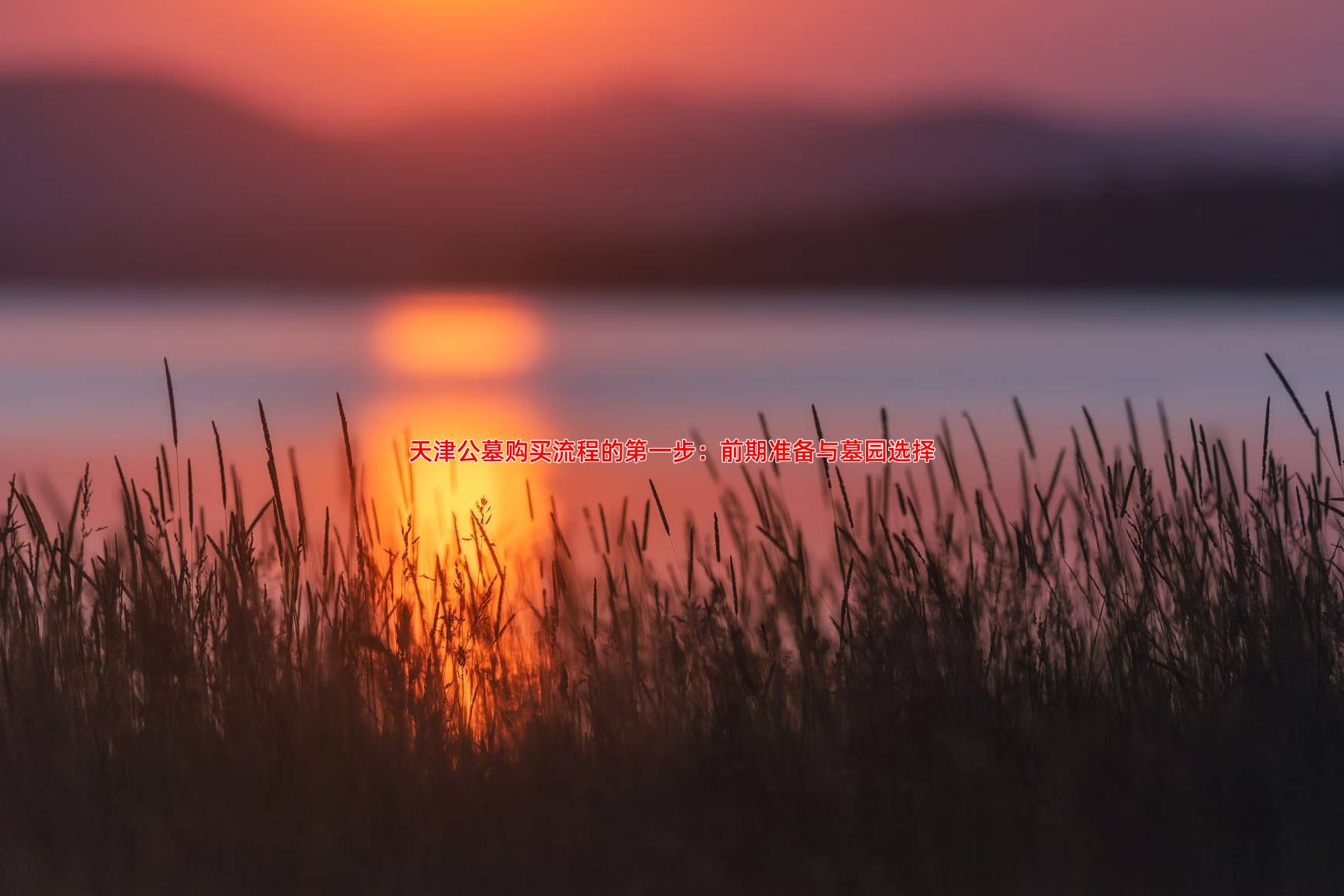 天津公墓购买流程的******步：前期准备与墓园选择