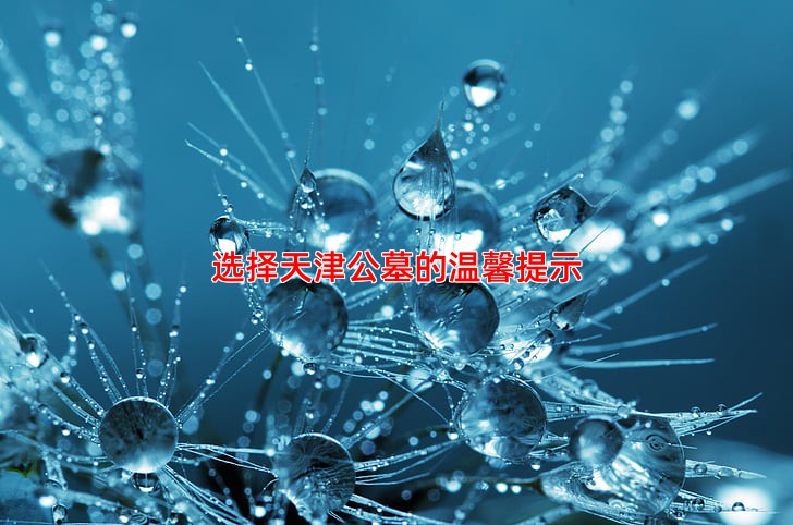 选择天津公墓的温馨提示