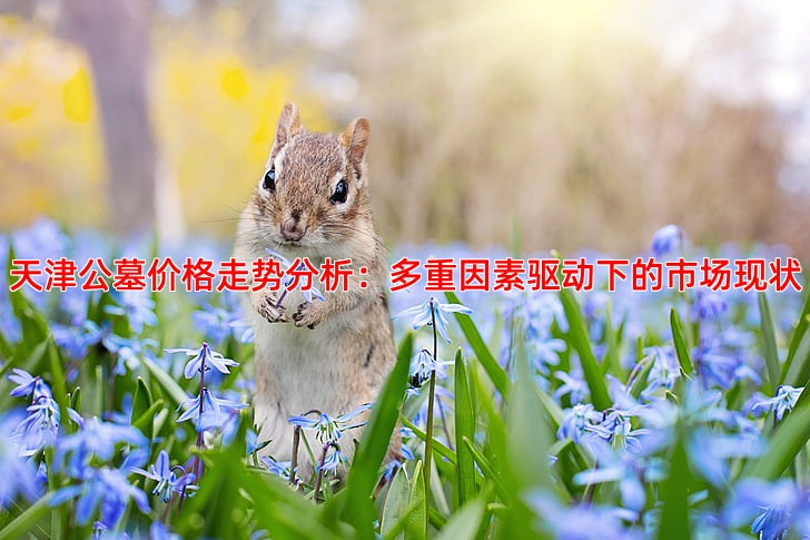 天津公墓价格走势分析：多重因素驱动下的市场现状