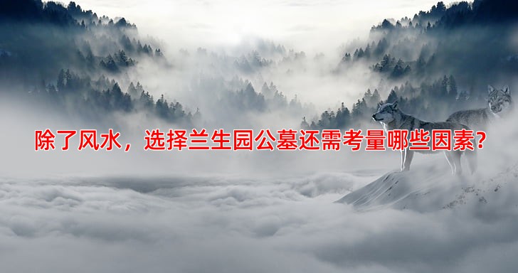 除了风水，选择兰生园公墓还需考量哪些因素？
