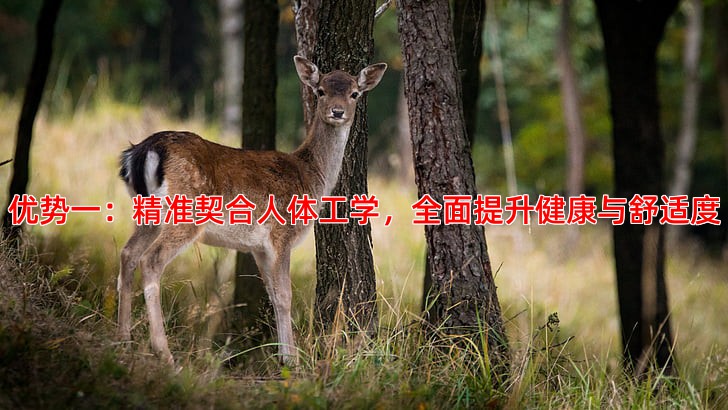 优势一：精准契合人体工学，全面提升健康与舒适度