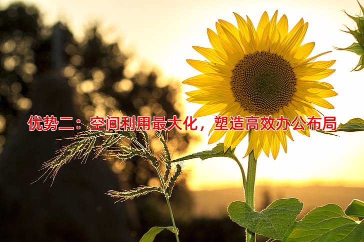 优势二：空间利用***大化，塑造高效办公布局