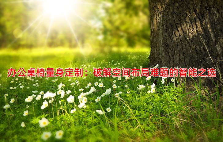 办公桌椅量身定制：破解空间布局难题的智能之选