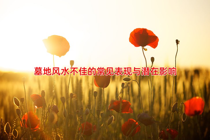 墓地风水不好怎么办 化解方法与调整建议