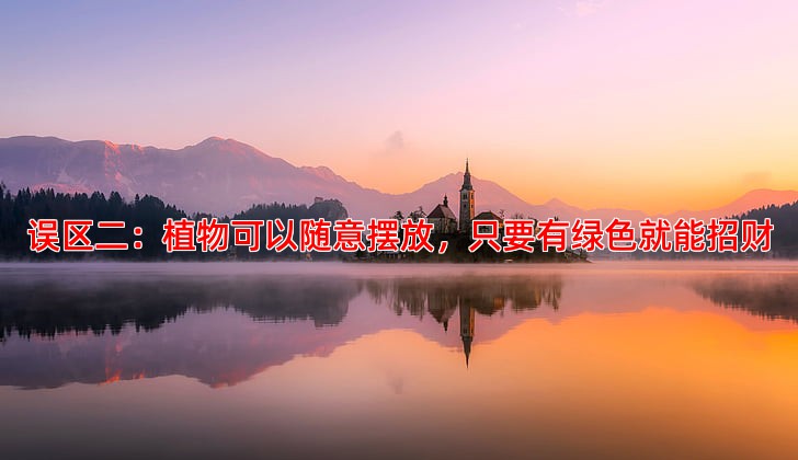 误区二：植物可以随意摆放，只要有绿色就能招财