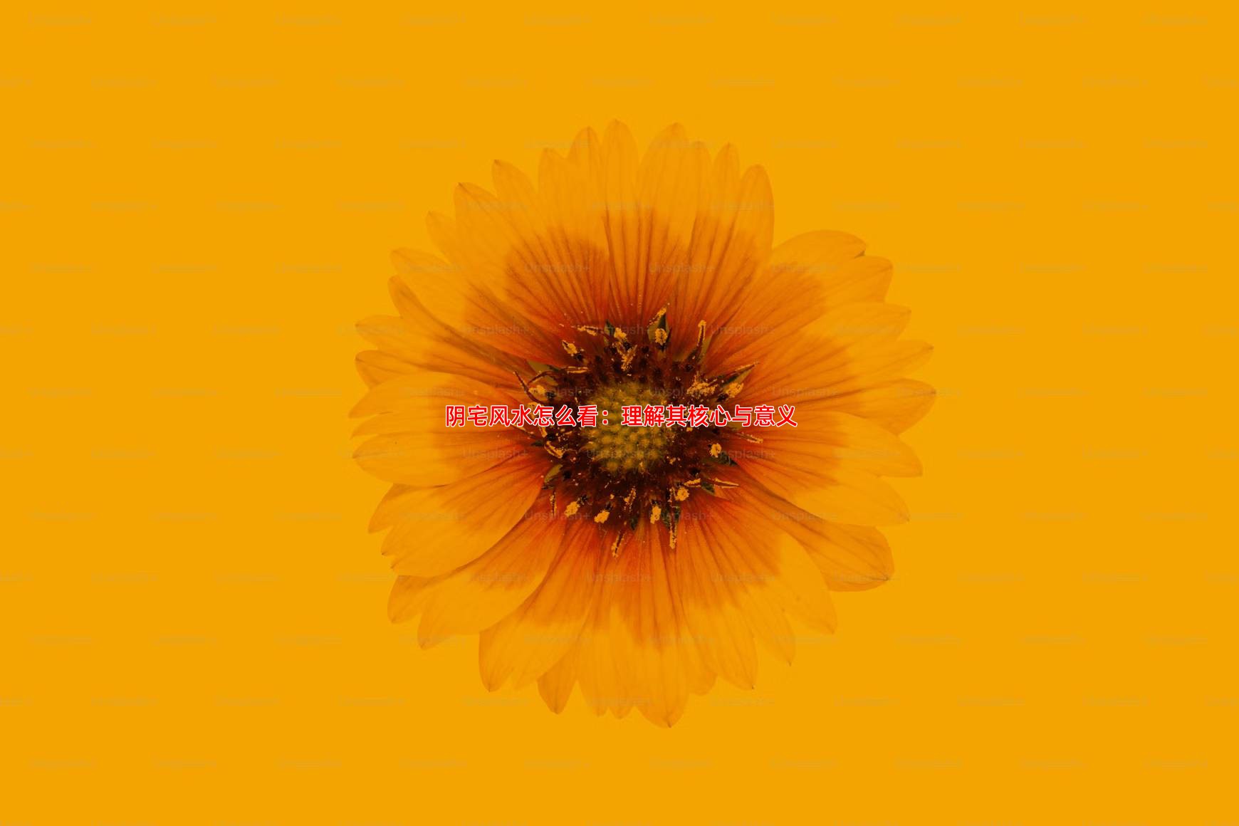 阴宅风水怎么看 墓地选址的几大原则