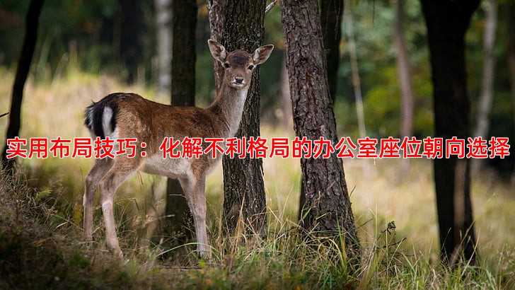 实用布局技巧：化解不利格局的办公室座位朝向选择