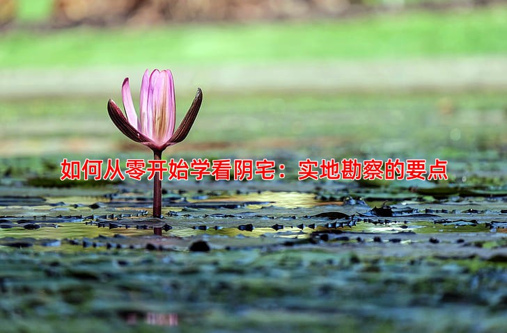 如何从零开始学看阴宅：实地勘察的要点