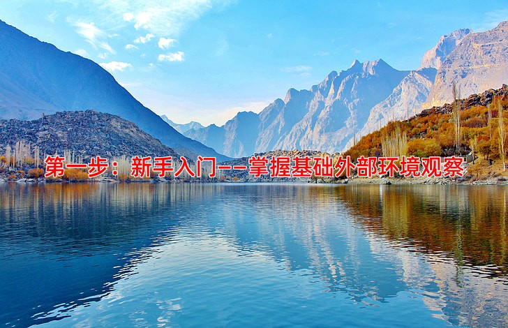 第一步：新手入门——掌握基础外部环境观察