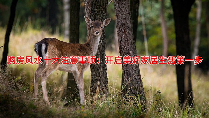 购房风水十大注意事项，避免踩坑指南