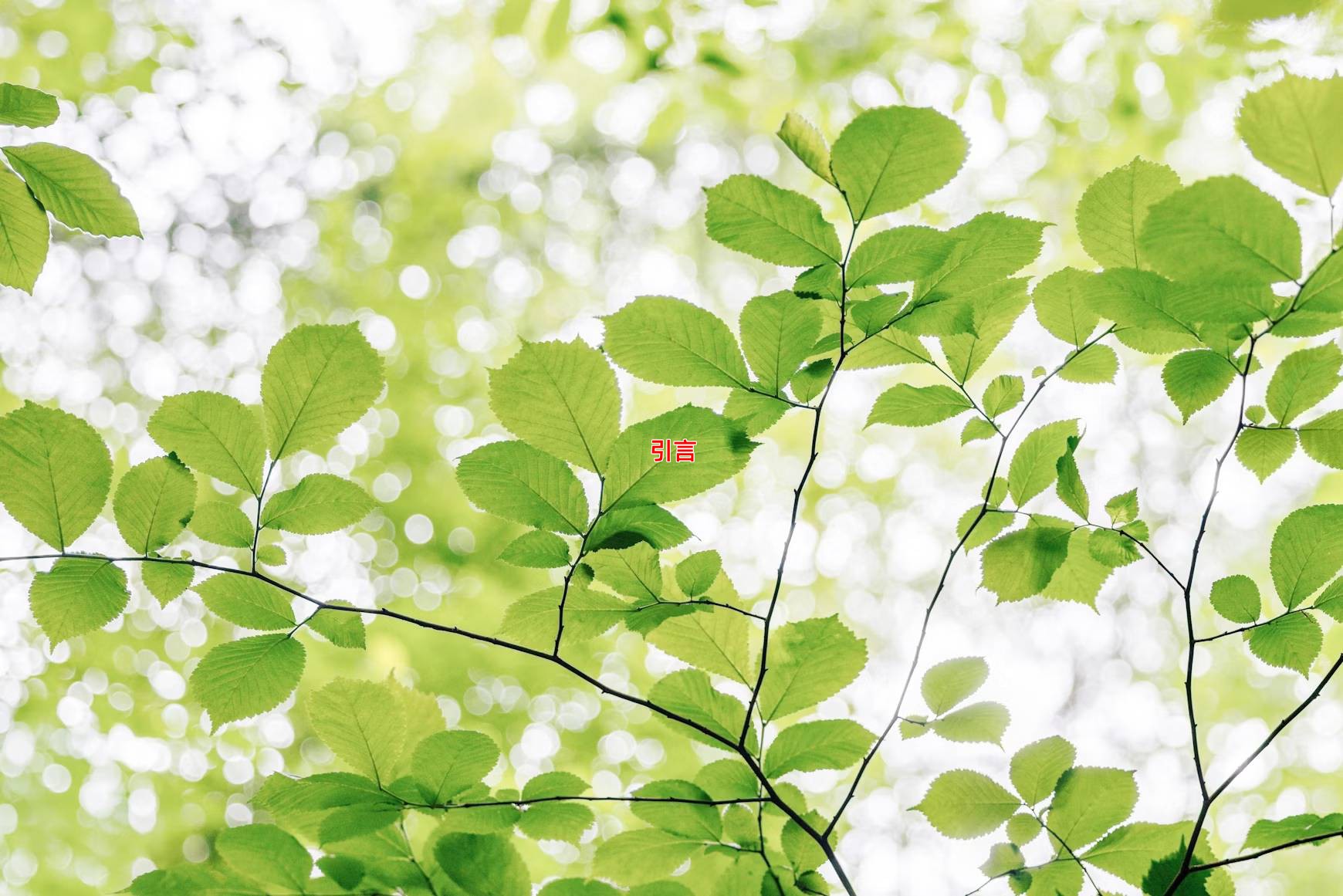 什么样的房子风水好，从户型到环境全面解析