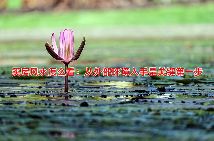 买房风水怎么看，专家教你从外到内全面分析