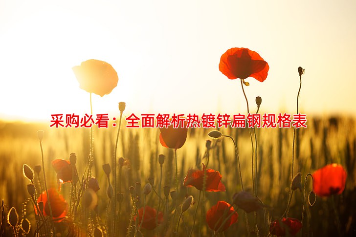 采购必看：全面解析热镀锌扁钢规格表